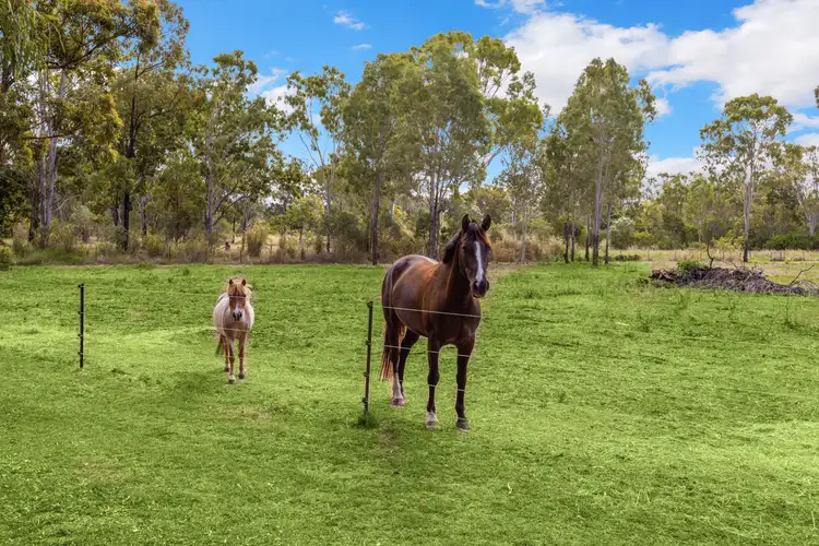 Sixth view of Homely house listing, 34 Peckovers Road, Cawarral QLD 4702