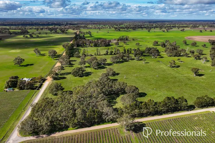 Third view of Homely land listing, LOT 444, 101 Gaffney Road, Coonawarra SA 5263