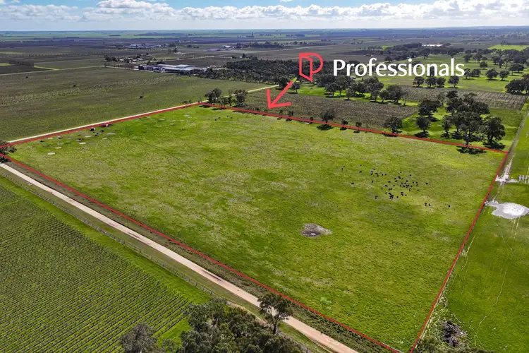 LOT 439 Richardson Road, Coonawarra SA 5263