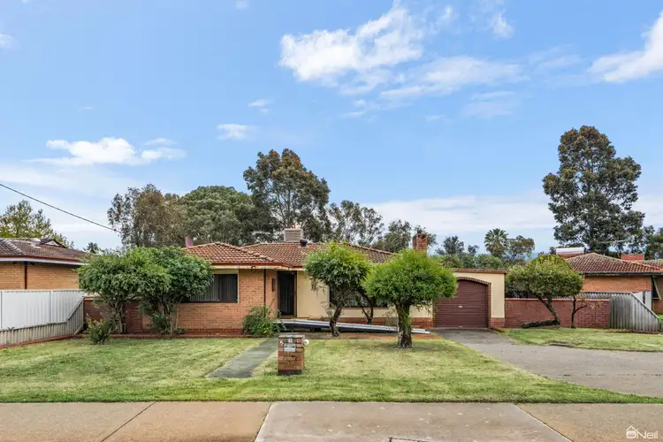 3 Merrifield Avenue, Kelmscott WA 6111