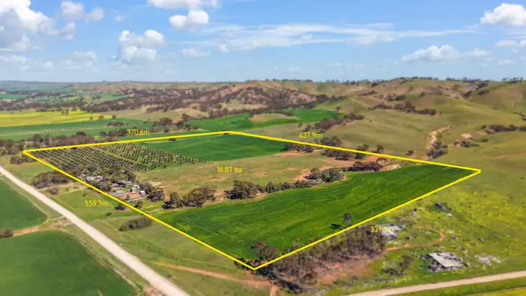 263 Stock Route Road, Point Pass SA 5374