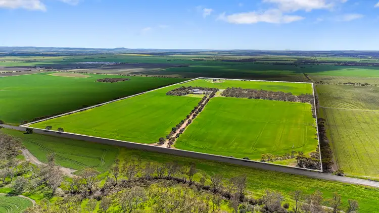 2191 Langhorne Creek Road