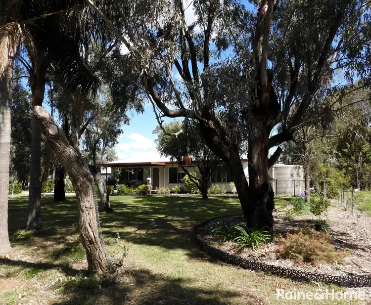 75 Wilga Street, Ashley NSW 2400