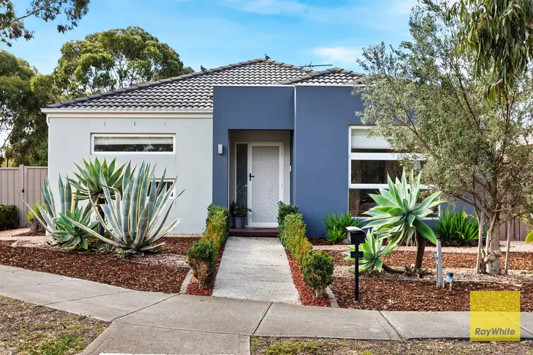 128 Tenterfield Drive, Burnside Heights VIC 3023