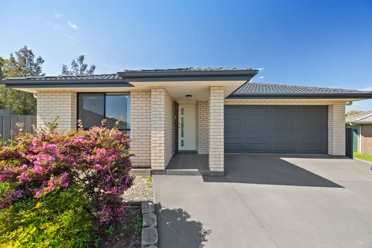 31 Mileham Circuit, Rutherford NSW 2320