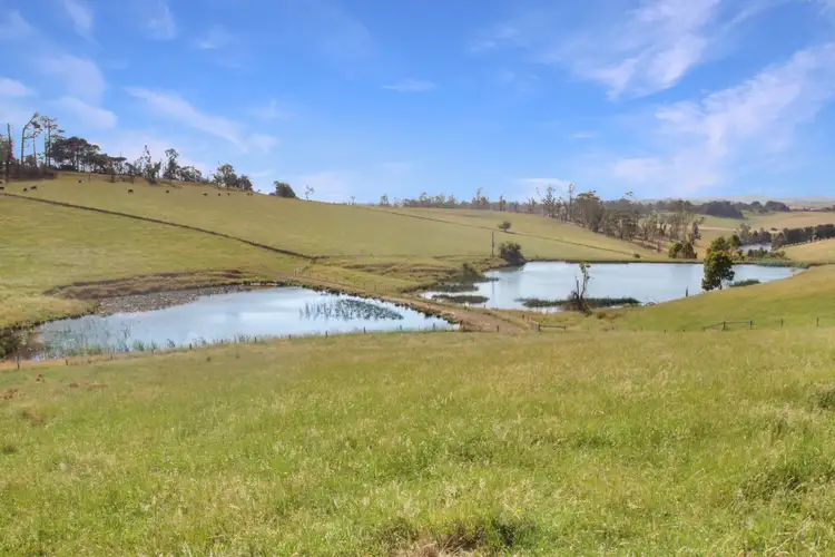 Fourth view of Homely rural property listing, 3233 Strzelecki Highway, Mirboo North VIC 3871