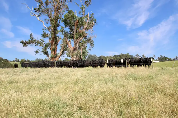 Fifth view of Homely rural property listing, 3233 Strzelecki Highway, Mirboo North VIC 3871