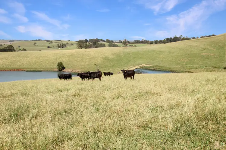 Sixth view of Homely rural property listing, 3233 Strzelecki Highway, Mirboo North VIC 3871