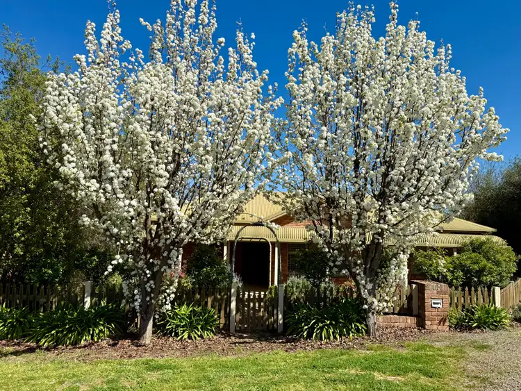 110 Blackett Avenue, Young NSW 2594