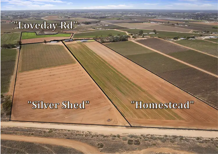 121 Elephant Trunk Road, Cobdogla SA 5346