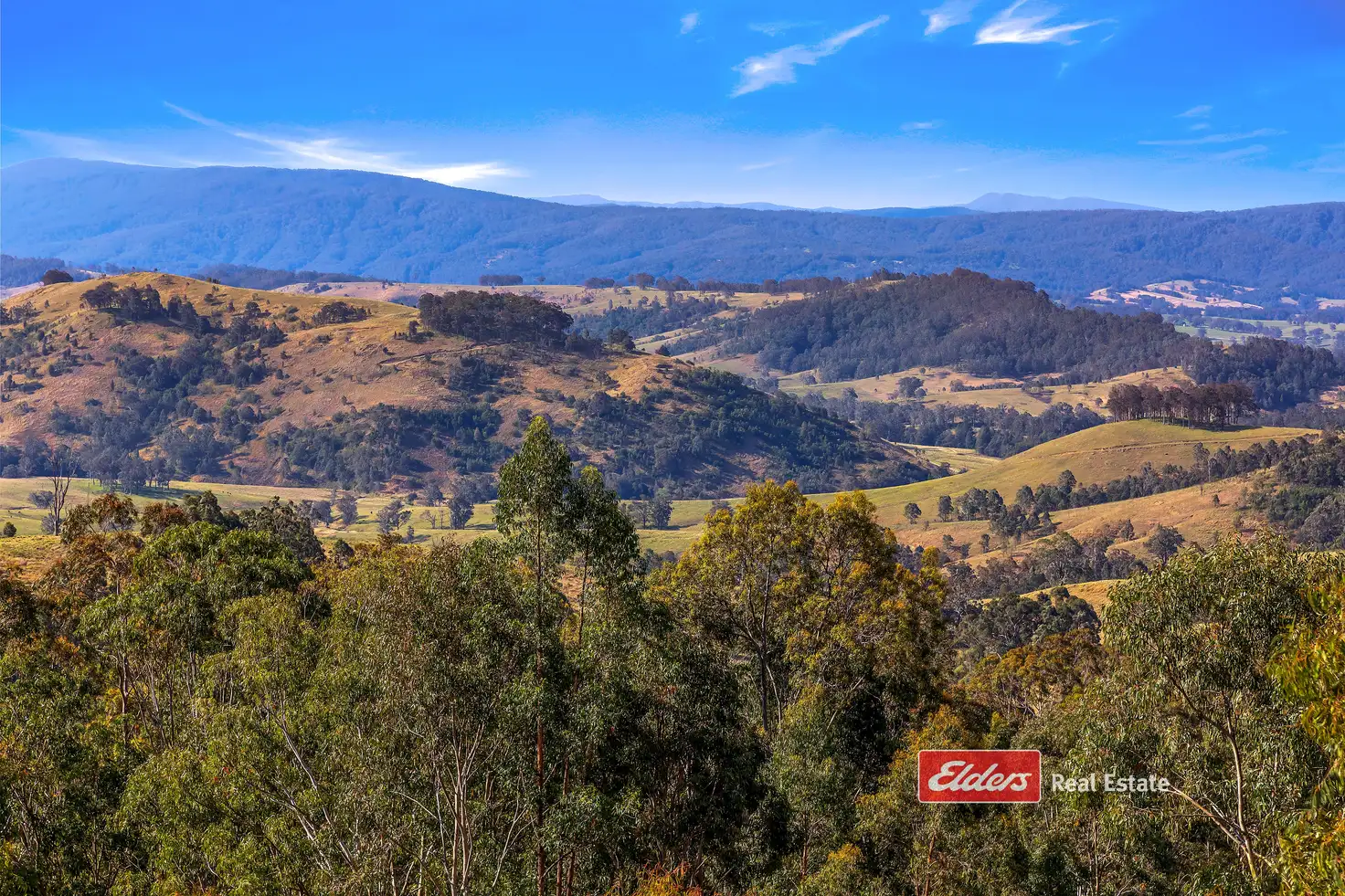 Main view of Homely rural property listing, 360 Myall Creek Road, Munni via, Dungog NSW 2420
