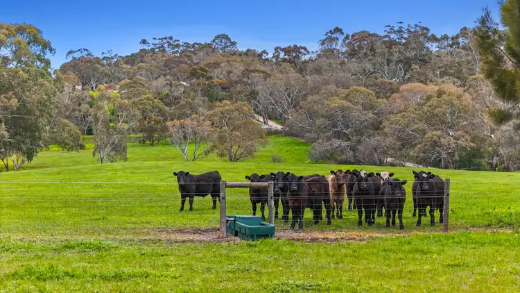 Fourth view of Homely rural property listing, A300 Bonython Road, Bugle Ranges SA 5251