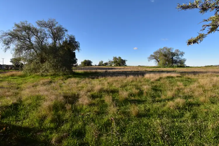 Seventh view of Homely rural property listing, 16 Church Street, Bodangora NSW 2820