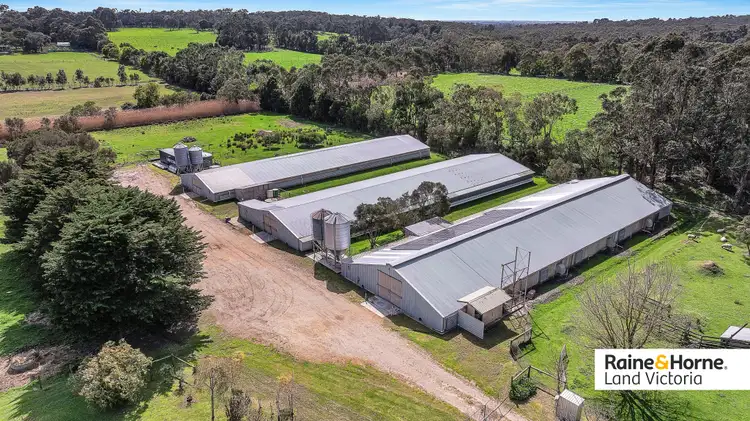 60 Hunts Road, Tuerong VIC 3915