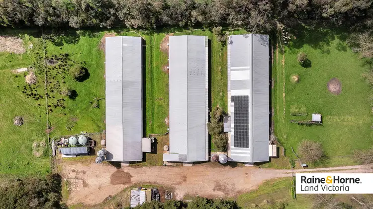 Second view of Homely rural property listing, 60 Hunts Road, Tuerong VIC 3915