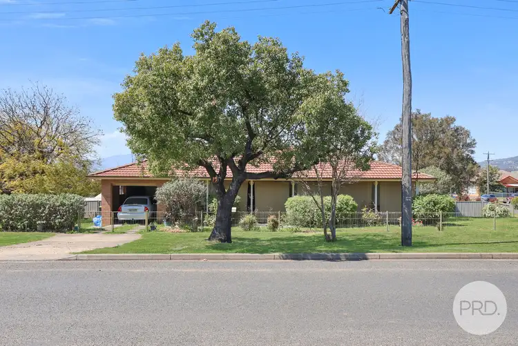 81 Hill Street, Quirindi NSW 2343