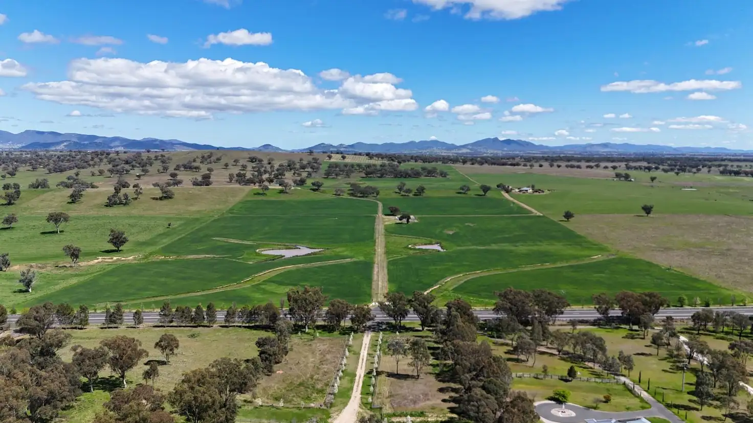 Main view of Homely rural property listing, Grandview 13669 New England Highway, Timbumburi NSW 2340