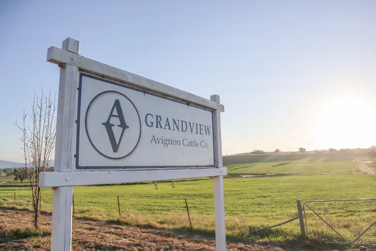 Third view of Homely rural property listing, Grandview 13669 New England Highway, Timbumburi NSW 2340