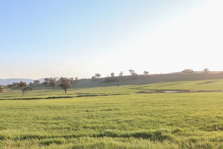 Fourth view of Homely rural property listing, Grandview 13669 New England Highway, Timbumburi NSW 2340