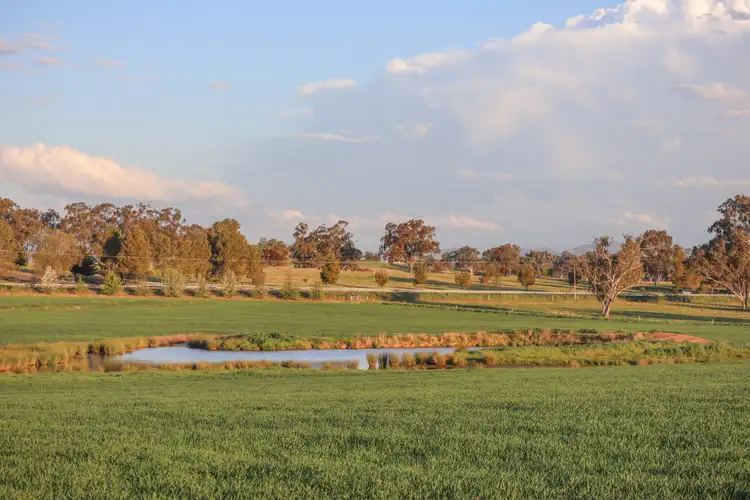 Sixth view of Homely rural property listing, Grandview 13669 New England Highway, Timbumburi NSW 2340