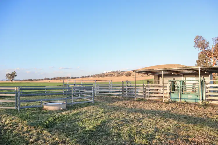 Seventh view of Homely rural property listing, Grandview 13669 New England Highway, Timbumburi NSW 2340