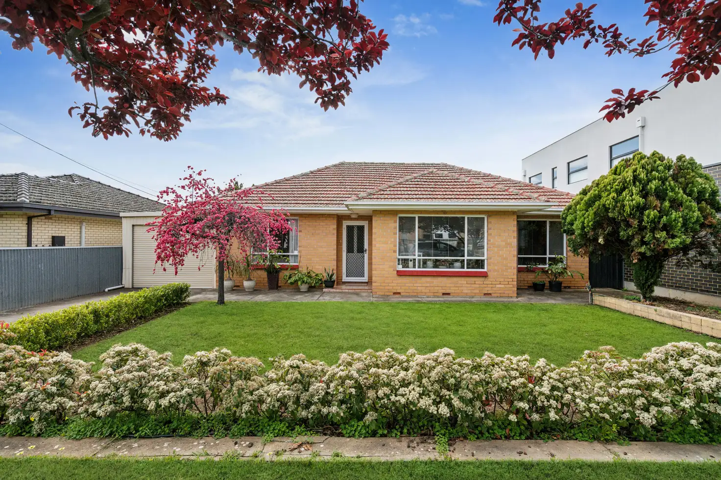 Main view of Homely house listing, 19 Mayfield Avenue, Hectorville SA 5073