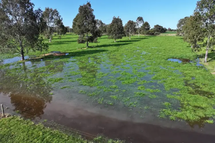 Third view of Homely rural property listing, 252 Bamawm Road, Bamawm Extension VIC 3564