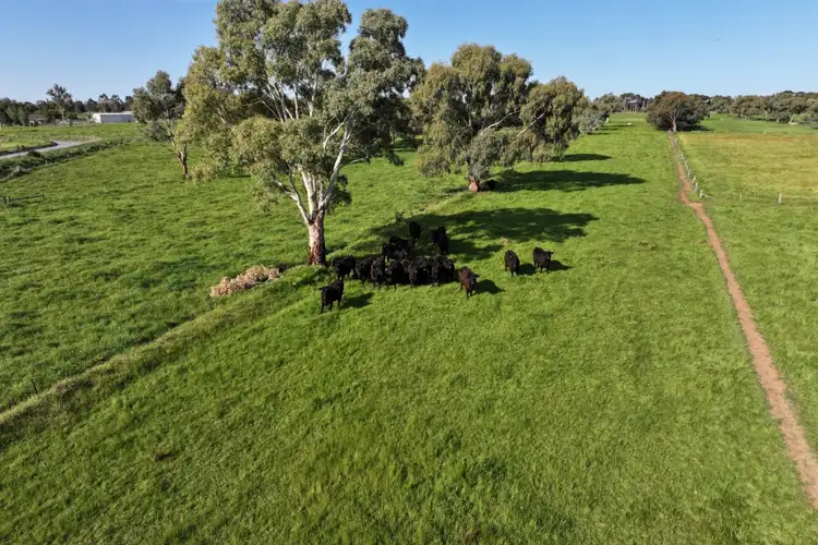 Fourth view of Homely rural property listing, 252 Bamawm Road, Bamawm Extension VIC 3564