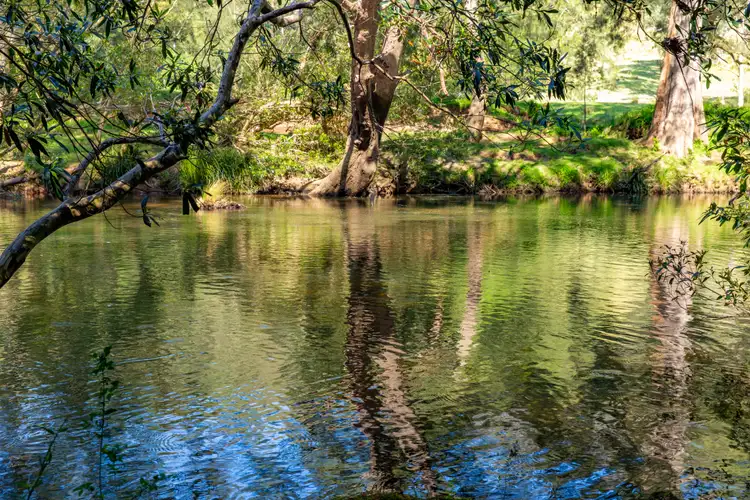 Fourth view of Homely rural property listing, Address available on request