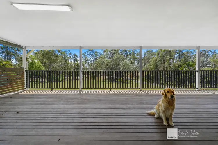 Sixth view of Homely house listing, 37-39 Cedar Vale Road, Cedar Vale QLD 4285