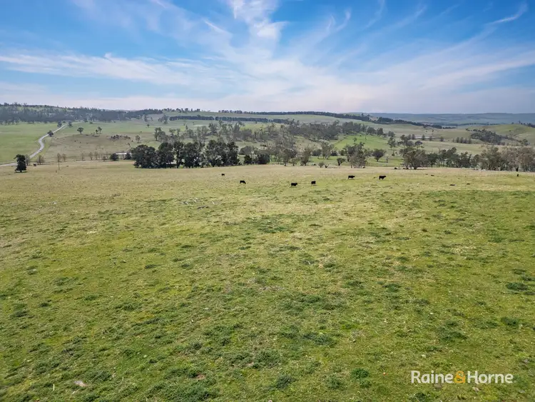 Fourth view of Homely rural property listing, Address available on request
