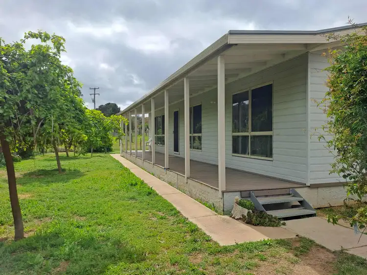 202 Pattersons Lane, Young NSW 2594