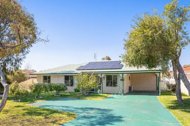 Main view of Homely house listing, 36 Avocet Boulevard, Geographe WA 6280