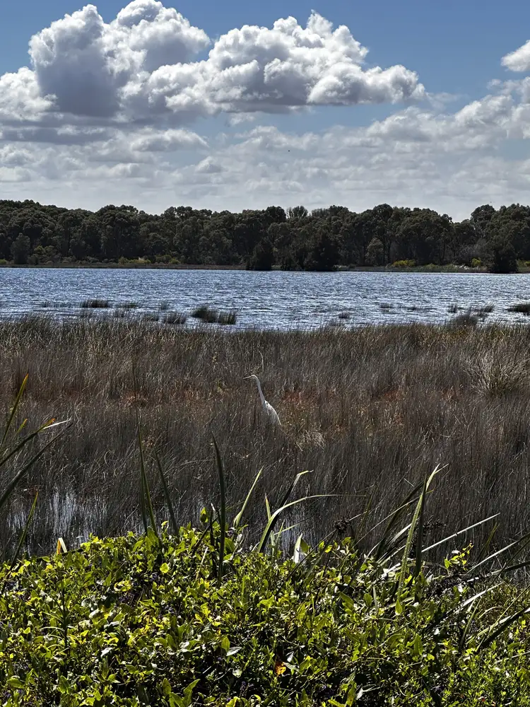 Seventh view of Homely land listing, LOT 2, 14 Light Street, Shoalwater WA 6169