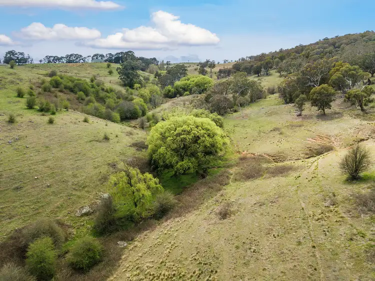 Fourth view of Homely rural property listing, 55 Robbs Lane, Chatsbury NSW 2580