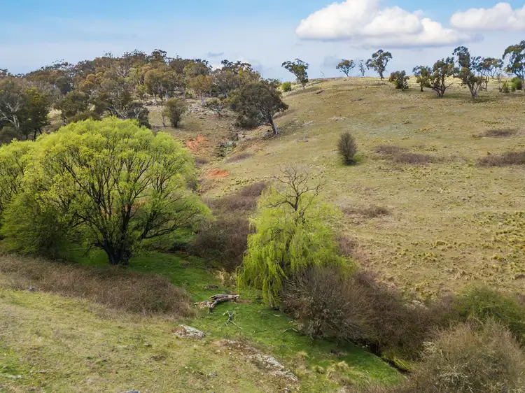 Fifth view of Homely rural property listing, 55 Robbs Lane, Chatsbury NSW 2580