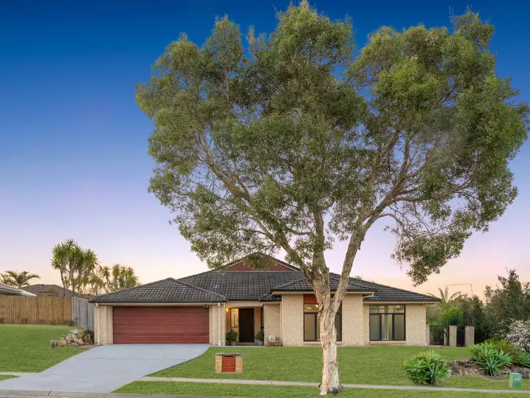 6 Tattler Street, Mango Hill QLD 4509