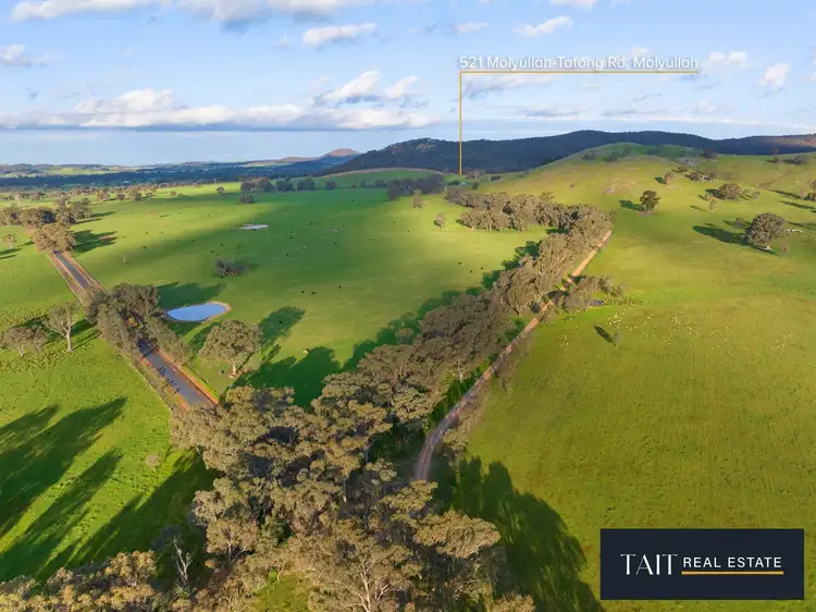 Sixth view of Homely house listing, 521 Molyullah-Tatong Road, Molyullah VIC 3673