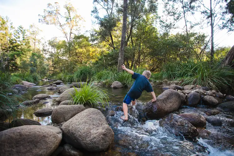 Second view of Homely rural property listing, 1093 Upper Logan Road, Mount Barney QLD 4287