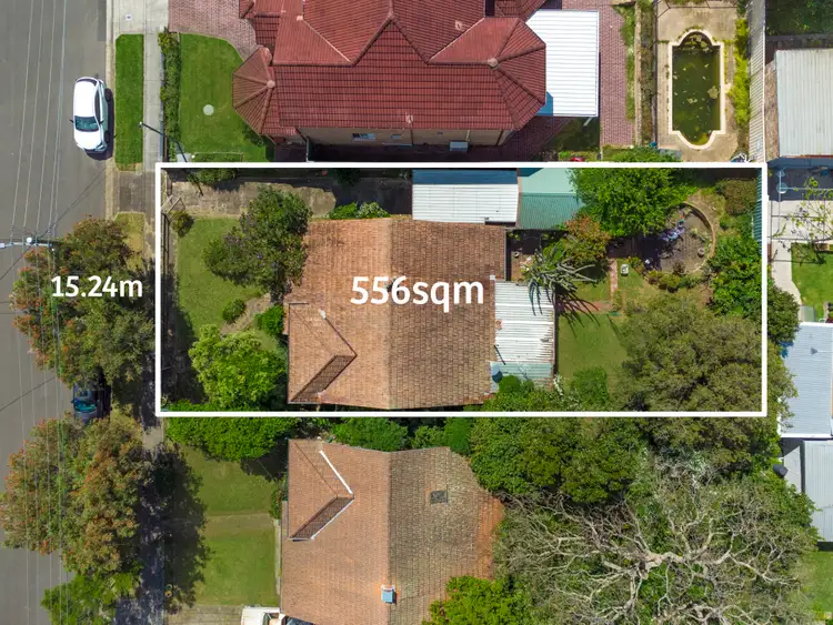 19 Basil Road, Bexley NSW 2207