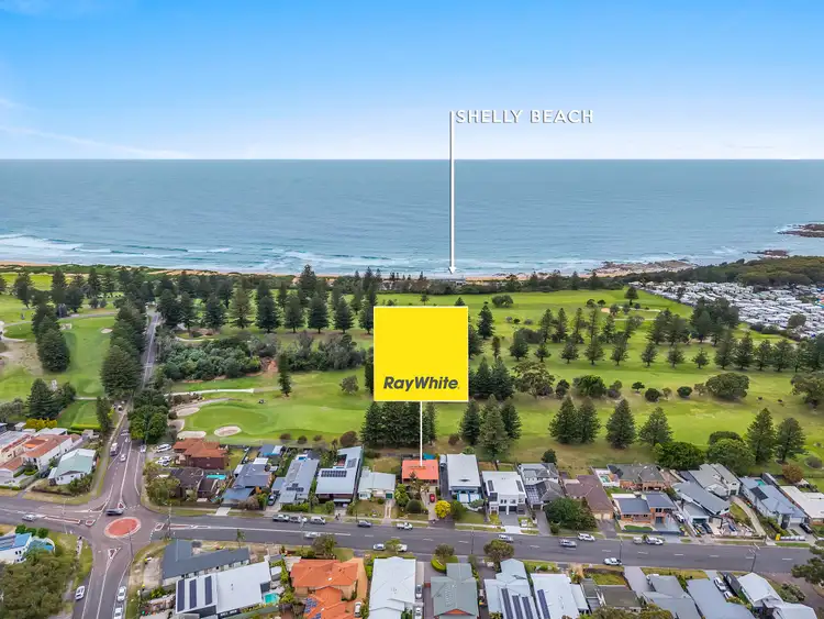 100 Grandview Street, Shelly Beach NSW 2261