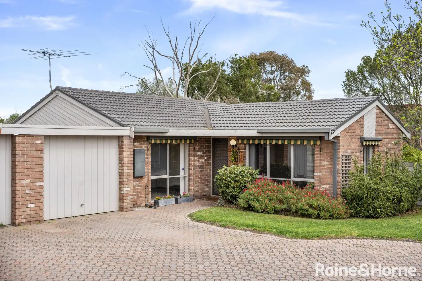 Main view of Homely unit listing, 3/10-12 Horne Street, Sunbury VIC 3429