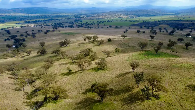 Fifth view of Homely rural property listing, 955 "Wirringulla" & "Gummun" Aggregation Coulsons Creek Road, Merriwa NSW 2329