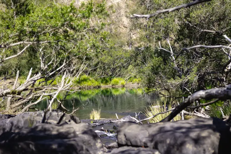 Third view of Homely rural property listing, Lot 201 Paddys Flat Road, Tooloom NSW 2475