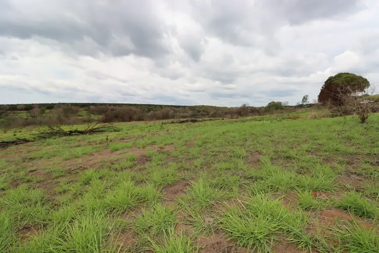 Fifth view of Homely land listing, 532 Lynwood Road, North Isis QLD 4660