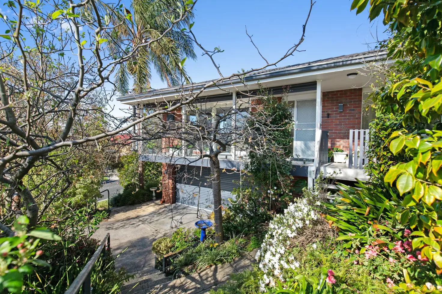 Main view of Homely house listing, 1/24 Bangor Drive, Frankston VIC 3199