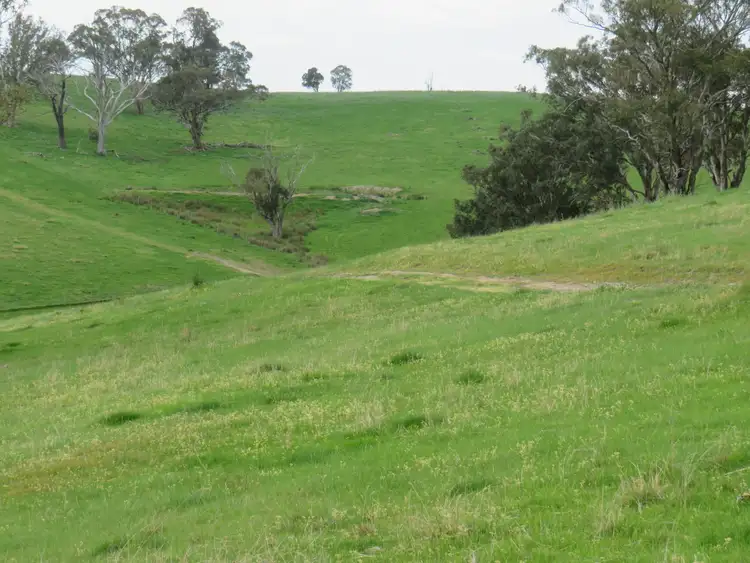 Fifth view of Homely rural property listing, "Blair Athol" 2340 Campfire Road, Walcha NSW 2354