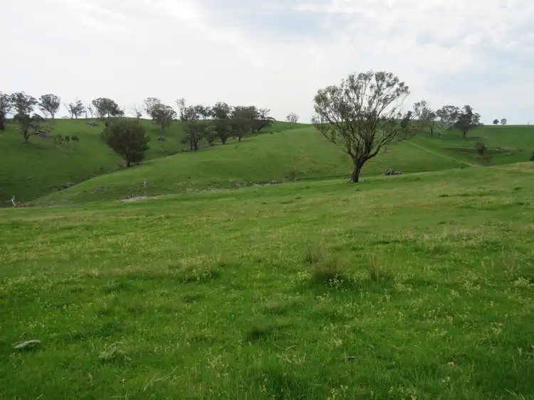 Sixth view of Homely rural property listing, "Blair Athol" 2340 Campfire Road, Walcha NSW 2354