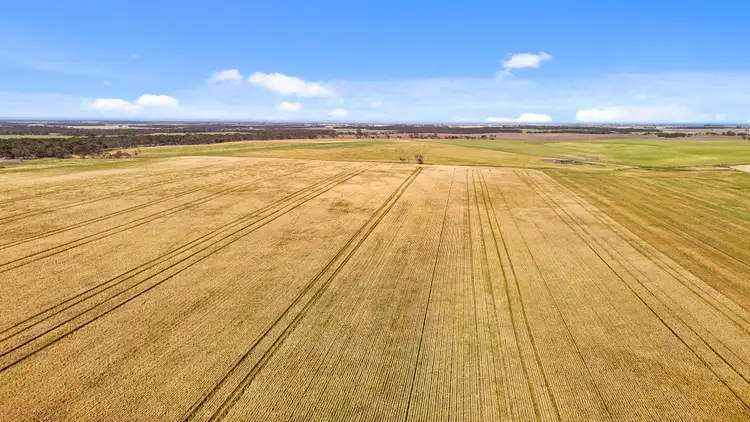 Fourth view of Homely rural property listing, Lot 339 Kangaroo Road, Langhorne Creek SA 5255