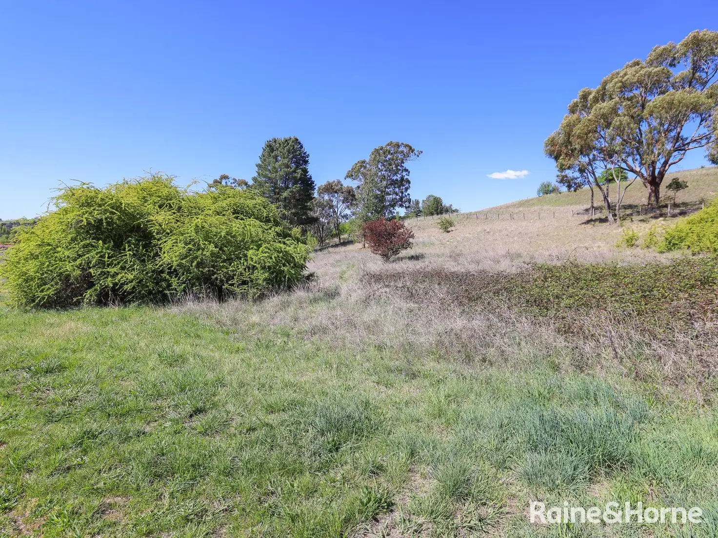 Main view of Homely land listing, 1 Naylor Street, Carcoar NSW 2791